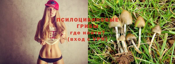 кристаллы Иннополис