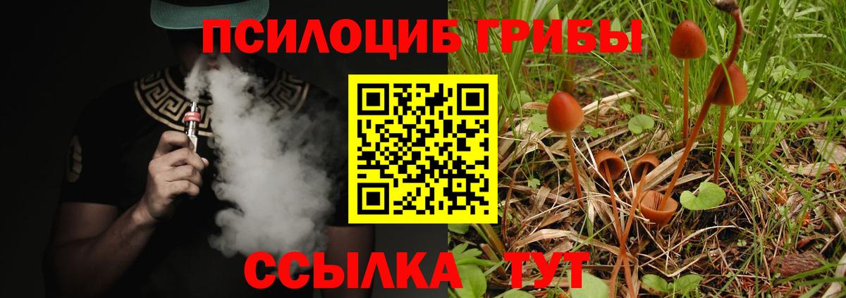 Галлюциногенные грибы Cubensis Миллерово